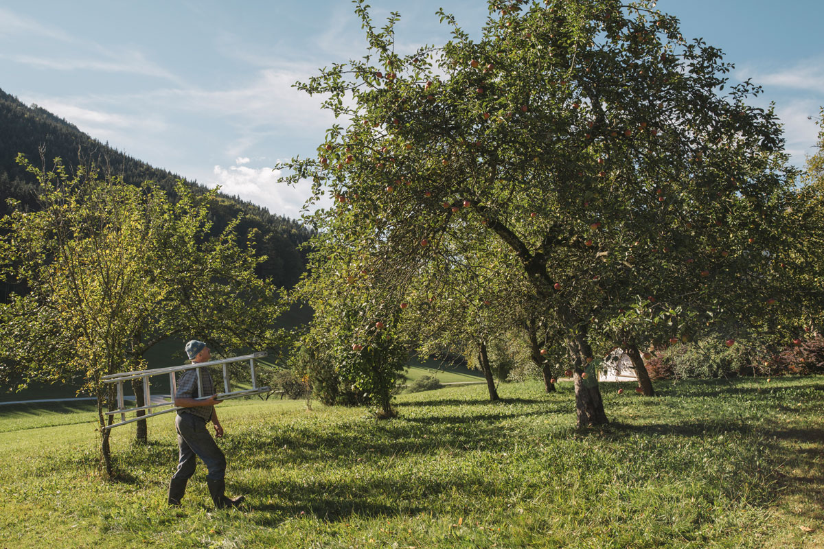 Foto: Stefan Leitner, NP Gesäuse