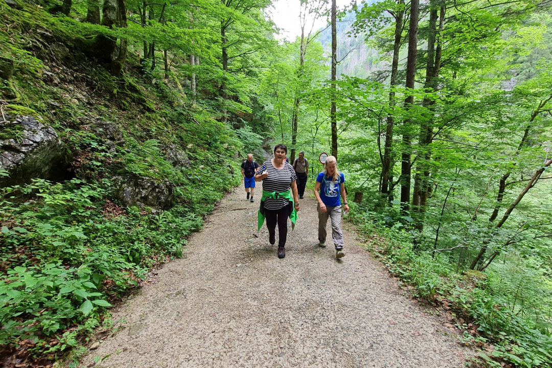 Auf dem Weg (Foto: Elke Kerschbaumer)