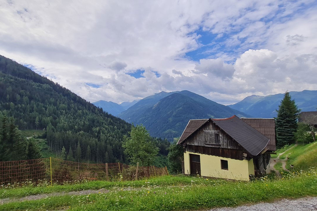 Ausblick (Foto: Elke Kerschbaumer)
