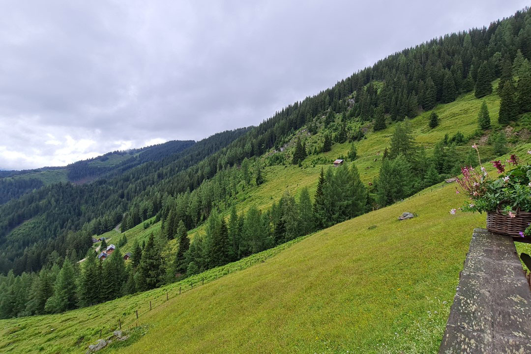 Ein letzter Blick (Foto: Elke Kerschbaumer)