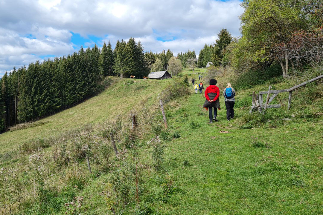 Auf dem Weg zur Steinschlosshütte (Foto: Elke Kerschbaumer)