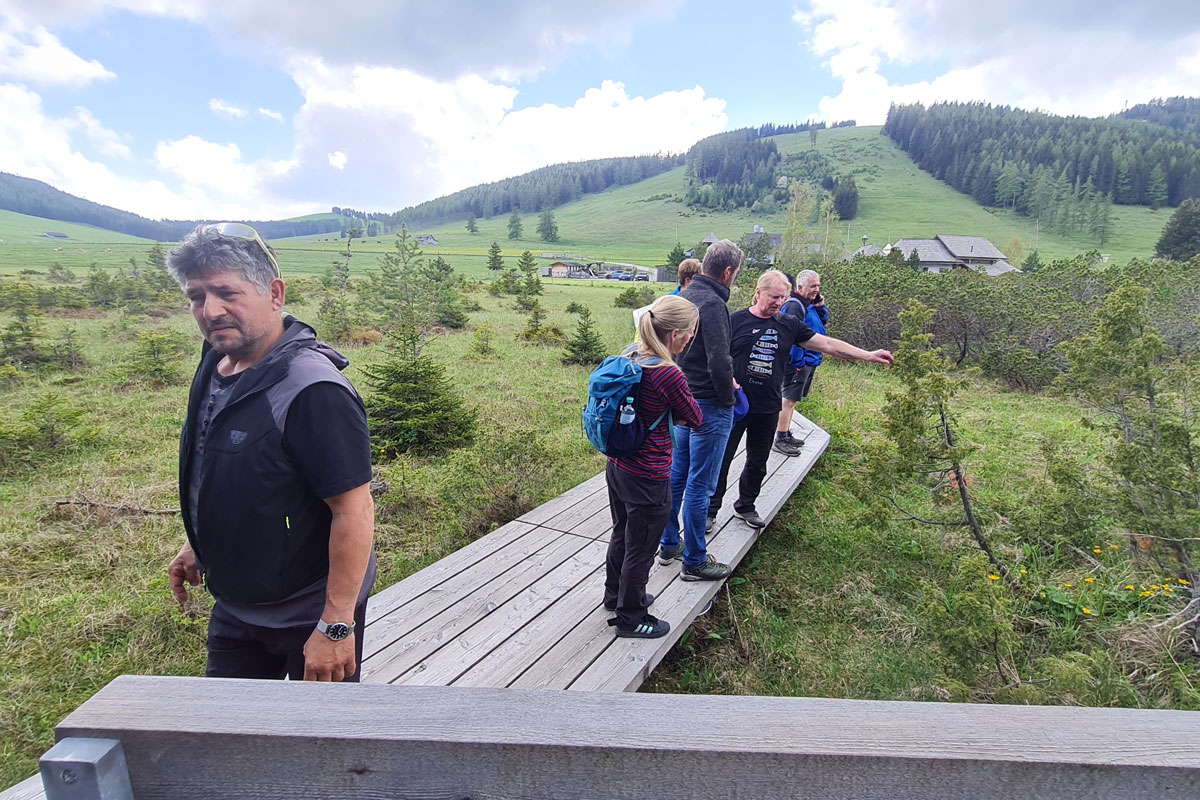 Hochmoor (Foto: Elke Kerschbaumer)