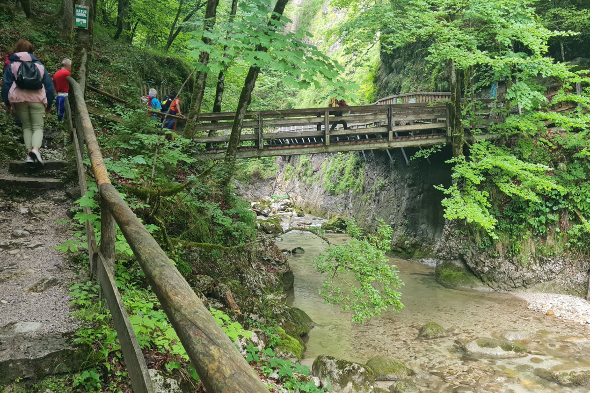 Brücke zum Nothsteg, Foto: Elke Kerschbaumer