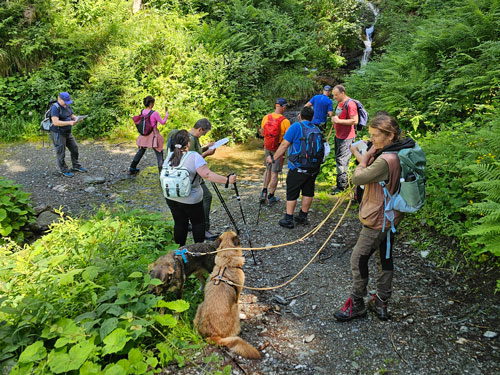 Foto: Elke Kerschbaumer
