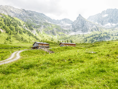 Naturschutzplan auf der Alm (Tirol)