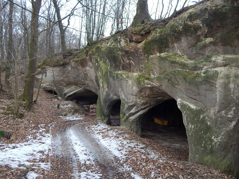 Über den Winter ruhen die Samen im Sandkeller ...