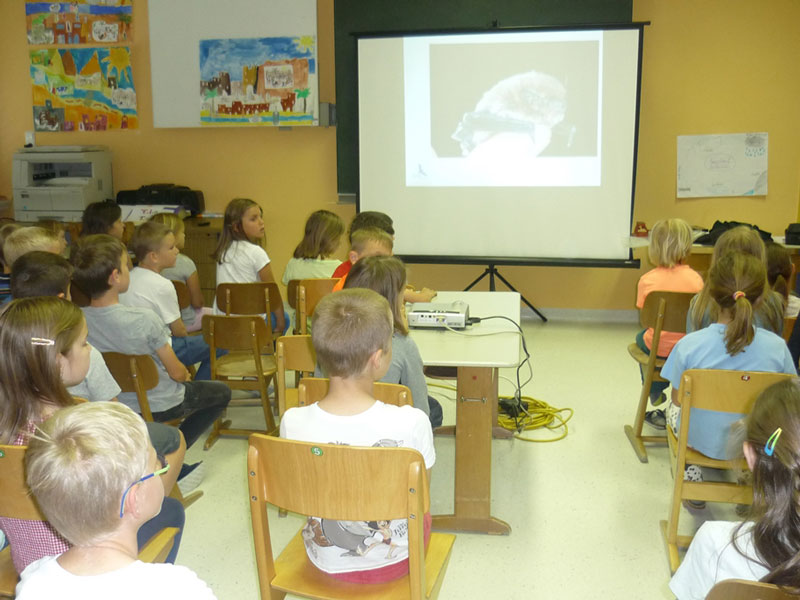 In der Naturpark-Volksschule St. Martin an der Raab erfuhren die Kinder von Experten Spannendes über die Fledermäuse – warum diese mit den Händen fliegen und mit den Ohren sehen können und wie man sie schützen kann. Foto: VS St. Martin an der Raab 