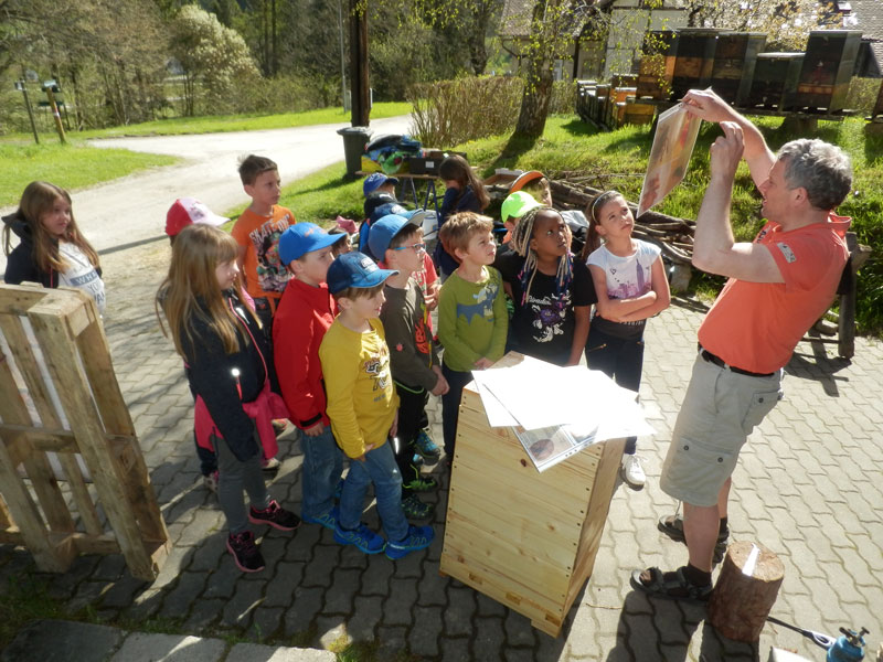 Schülerinnen und Schüler der NMS Viktor Kaplan im Naturpark Mürzer Oberland besuchen einen Imker ... 
Foto: Viktor Kaplan-Schulen
