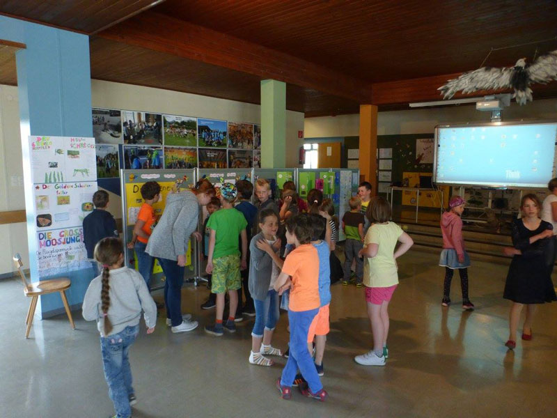 ... Darüber hinaus vermittelte eine umfangreiche, von den SchülerInnen und LehrerInnen während des Schuljahres erarbeitete, Ausstellung allerlei Flugkünstler-Spezialwissen.  Foto: Stefan Falkensteiner