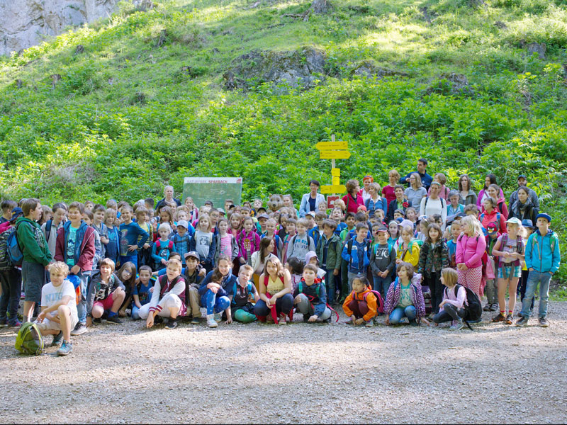 Im Naturpark Sparbach haben Schülerinnen und Schüler der Volksschule Hinterbrühl ... Foto: Manuela Marosevic