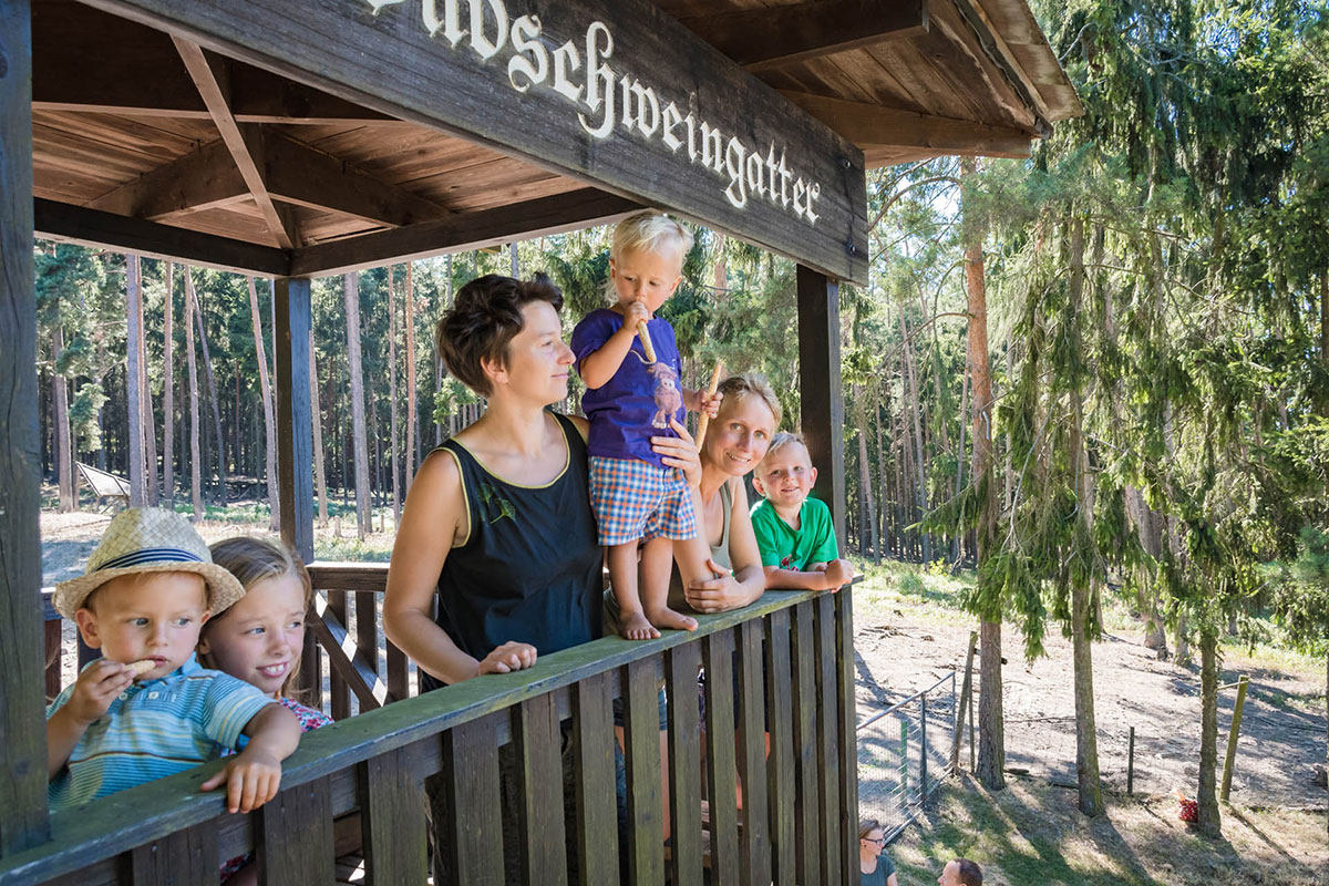 Foto: Matthias Ledwinka