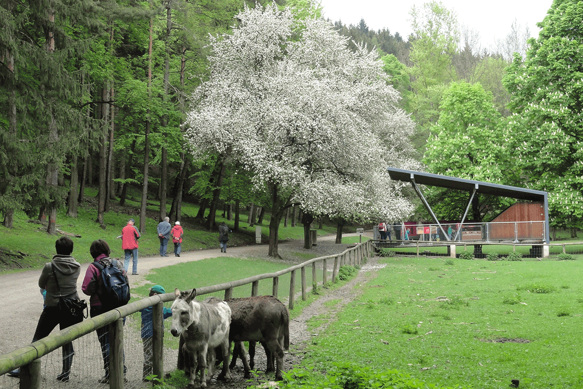 Foto: Naturpark Sparbach