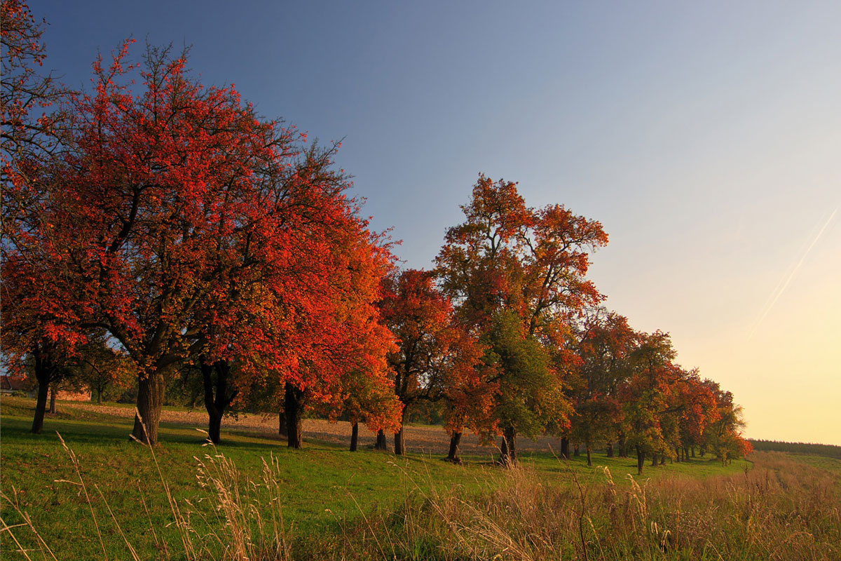 Foto: Martin Rumersdorfer