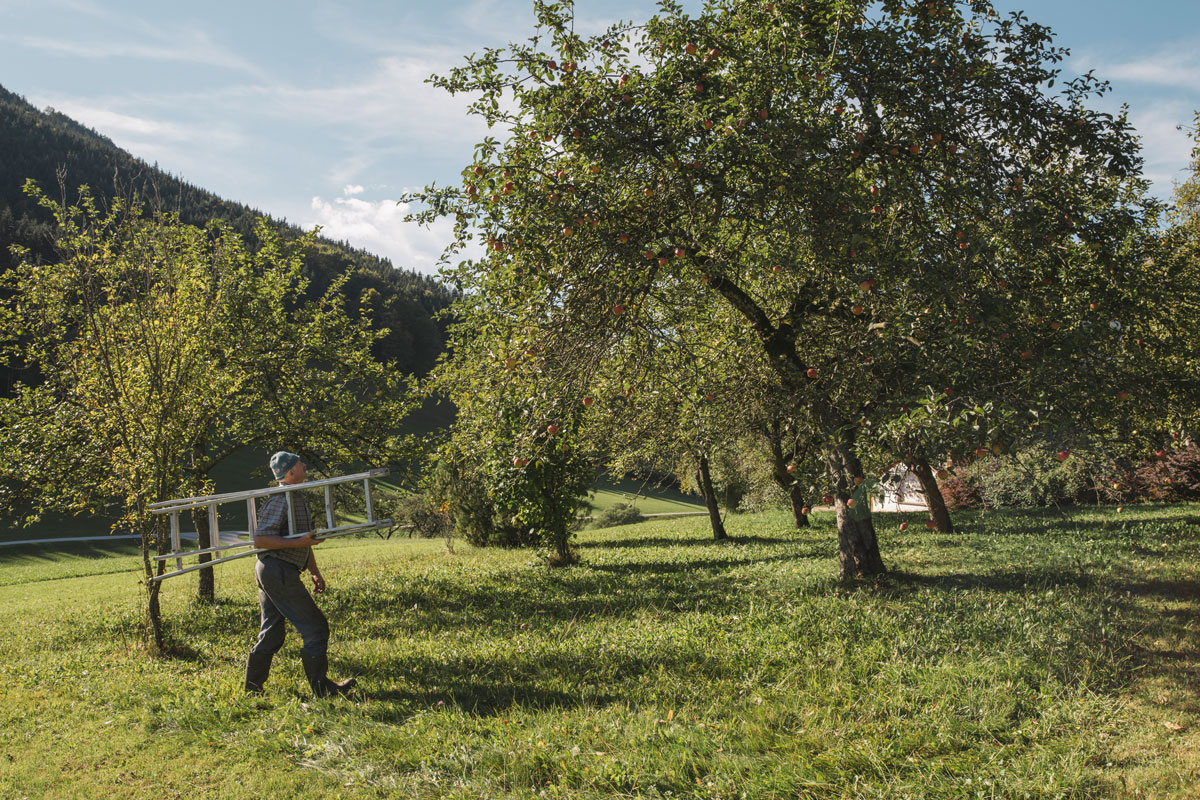 Foto: Stefan Leitner, Gesäuse
