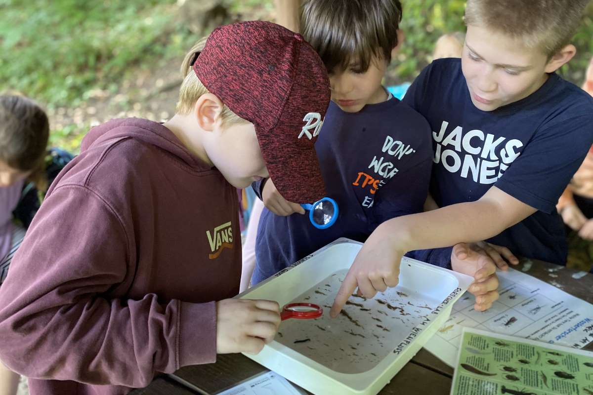 Schüler:innen der Naturpark-Volkschule Purkersdorf, Foto: Naturpark Purkersdorf/ G.Orosel