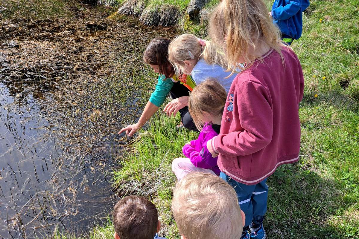 KG Hochgallming im Naturpark Kaunergrat, Foto: Alexandra Marth