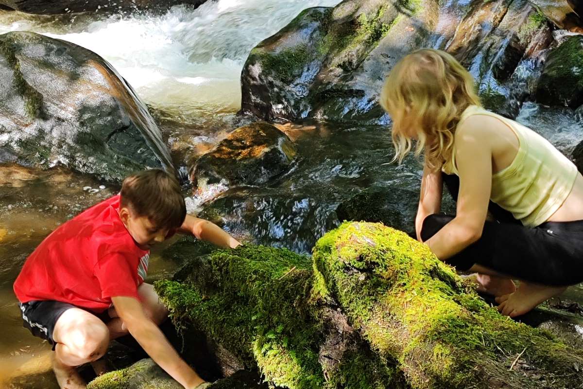 Schüler:innen der VS Tillmitsch auf der Suche nach Wasserschnecken und Flusskrebsen. 
Foto: Hermine Martinz 