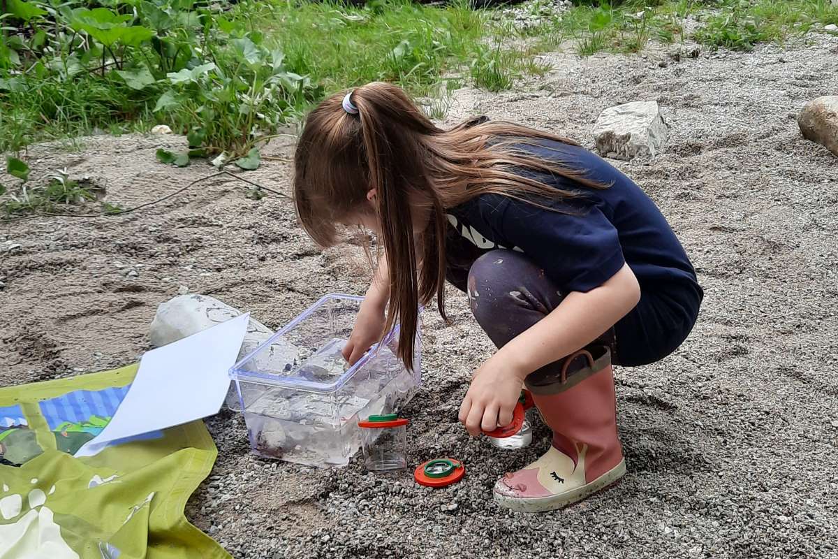 Schülerin der Volkschule Wildalpen untersucht das heimische Wasser, Foto: VS Wildalpen