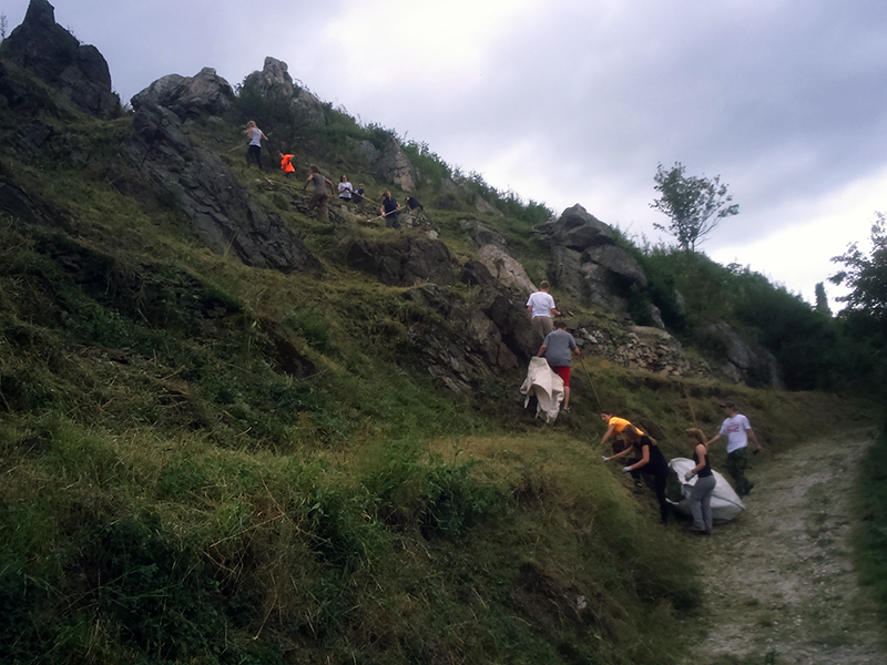 Wachau Volunteers pflegen im Naturpark Jauerling-Wachau wichtige Trockenrasenflächen (Foto: Hannes Seehofer)