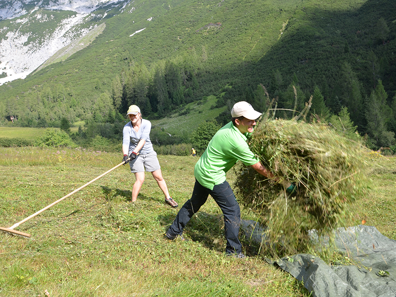 Früher wurde die Fläche als Futterwiese genutzt, heute pflegen Freiwillige den Issanger im Naturpark Karwendel und sichern so diesen wertvollen Lebensraum  (Foto: Hermann Sonntag)