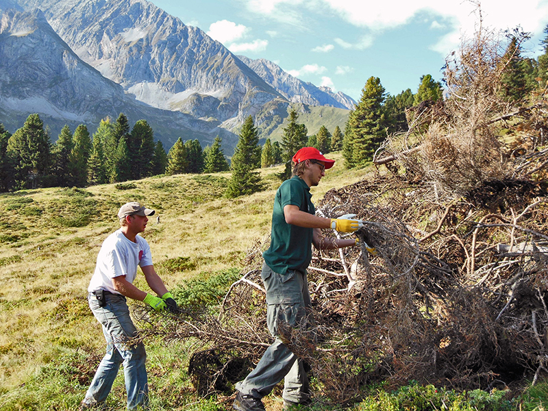 Freiwillige unterstützen die AlmbewirtschafterInnen bei der Pflege und Erhaltung ihrer Flächen im Hochgebirgs-Naturpark Zillertaler Alpen (Foto: Hochgebirgs-Naturpark Zillertaler Alpen)