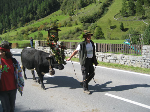 Foto: Buchhammer Biobauernhof Buchhammer