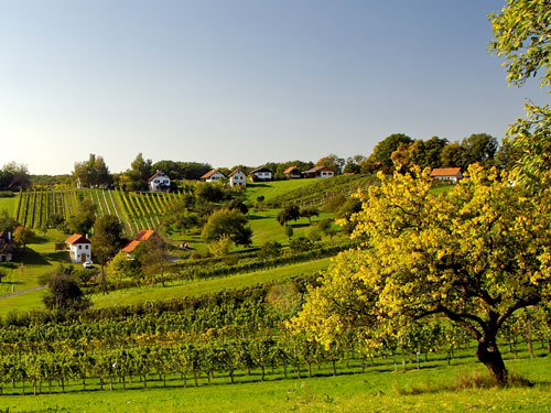 Über die Österreichischen Naturparke