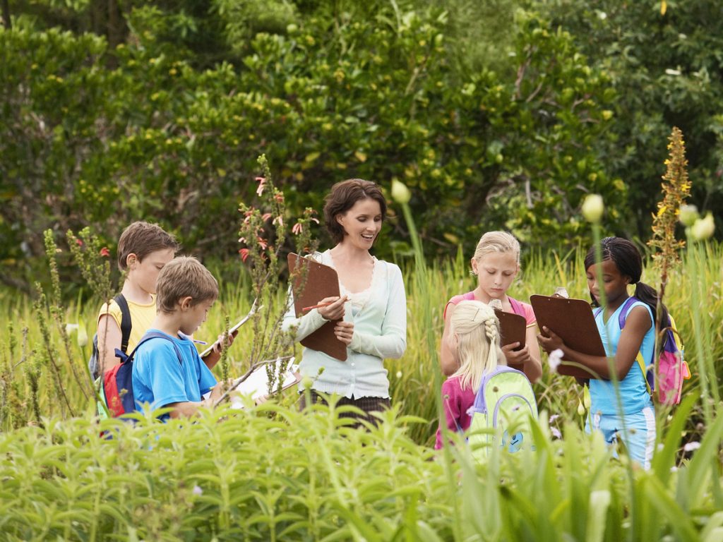 Eine Lehrerin, die mit einer Gruppe Kinder in der Wiese steht