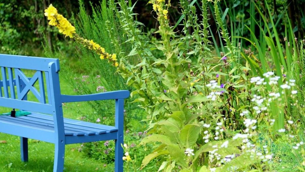 gemütlicher Platz im Garten mit einer blauen Sitzbank und dem Blick in ein Blumenbeet