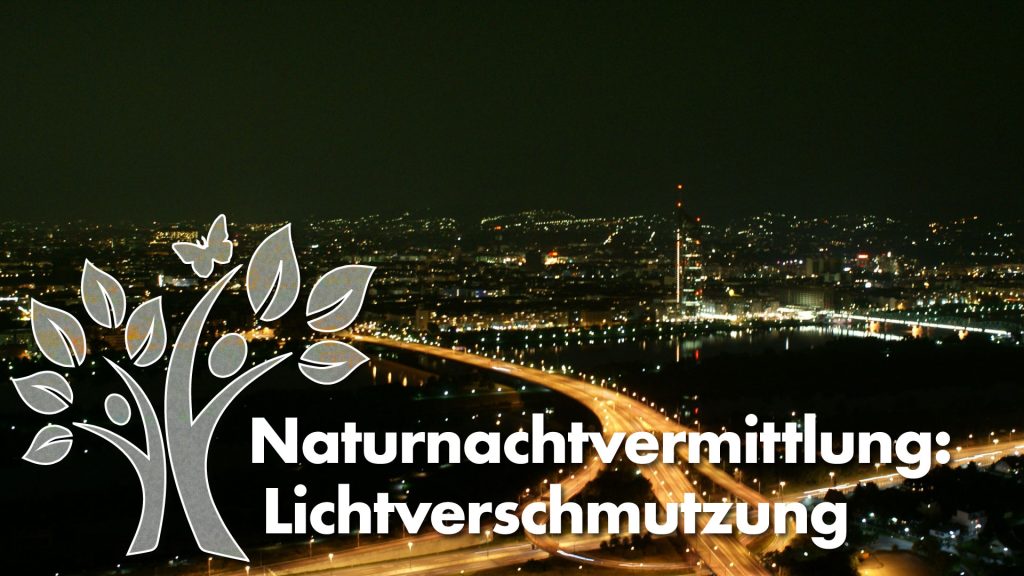 Wien bei Nacht mit Beschriftung "Naturnachtvermittlung: Lichtverschmutzung"