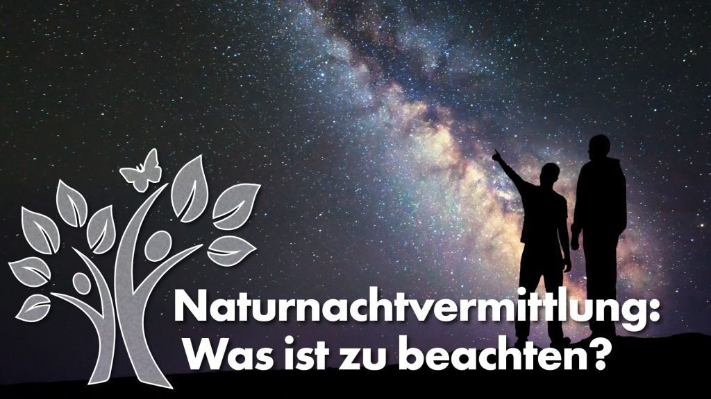 Menschen vor Milchstraße mit Beschriftung "Naturnachtvermittlung: Was ist zu beachten?"