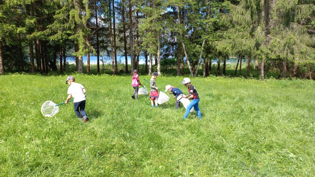 Kinder laufen auf einer Wiese mit Insektenkeschern