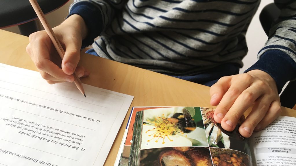 Hände eines Kindes mit Bestimmungsbuch und Beobachtungsblatt