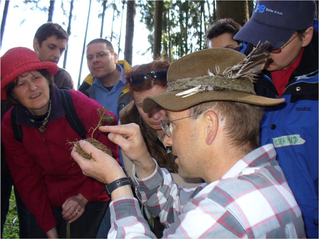 Ein Mann erklärt den Aufbau eines kleinen Baumes
