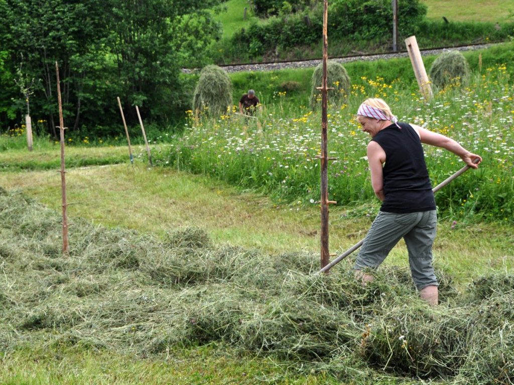 Frau beim Heuwenden