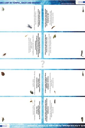 Bestimmungsplane_Wassertiere