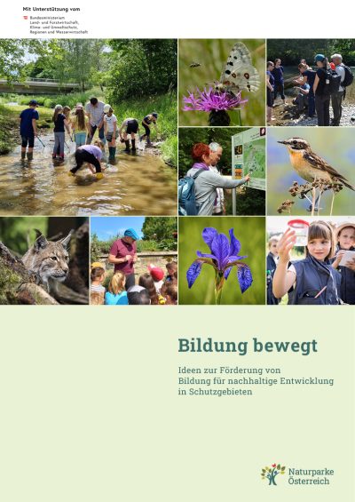 Broschüre Bildung bewegt_Titelseite