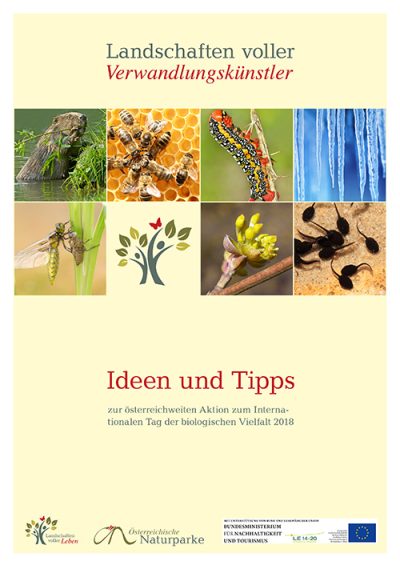 Ideen und Tipps-2018