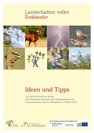 Ideen und Tipps-2019