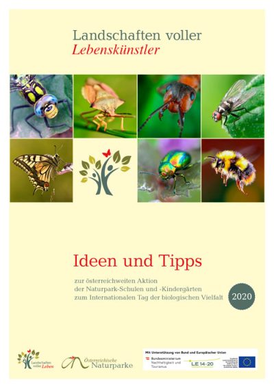 Ideen-und-Tipps-2020