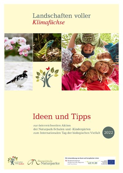 Ideen und Tipps-2022