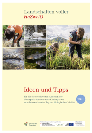 Ideen und Tipps-2025