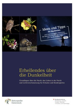 Ideen und Tipps_Nachteulen