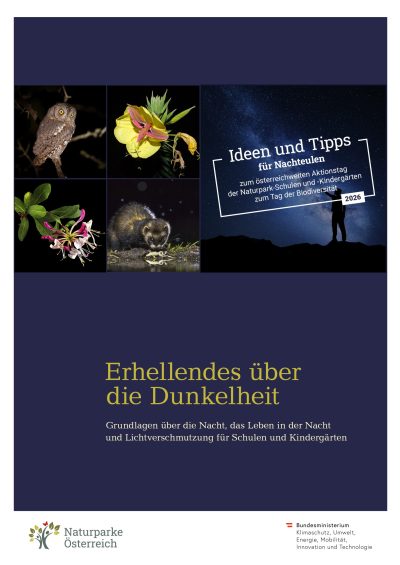 Ideen und Tipps_Nachteulen