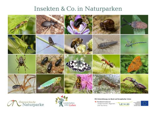 Karten_Insekten-in-Naturparken