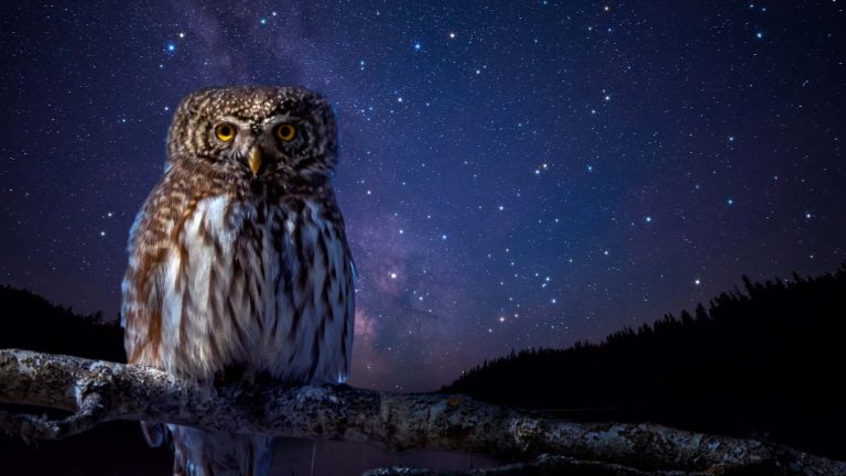 Lange Nacht der Naturparke 2025_HEAD