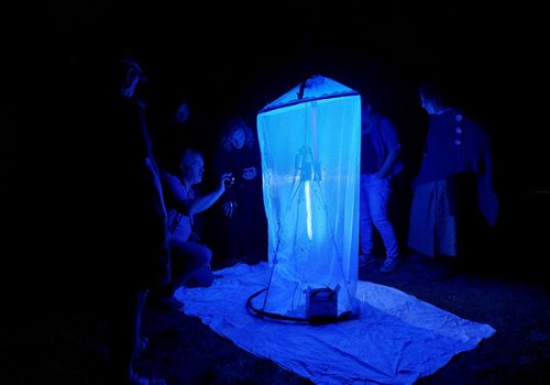 Foto: Willibald Katteneder