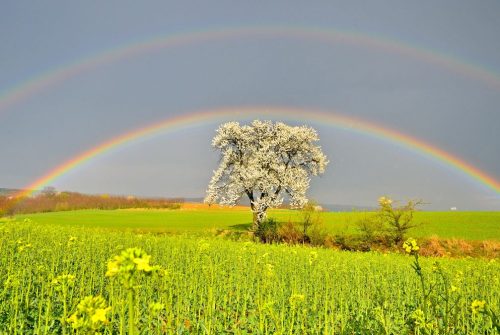 Unterschiedliche Wanderwege dienen als Naturlehrpfade und informieren über unterschiedliche Themen | Foto: Ewald Neffe