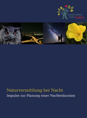 Titelbild der Broschüre "Naturvermittlung bei Nacht"