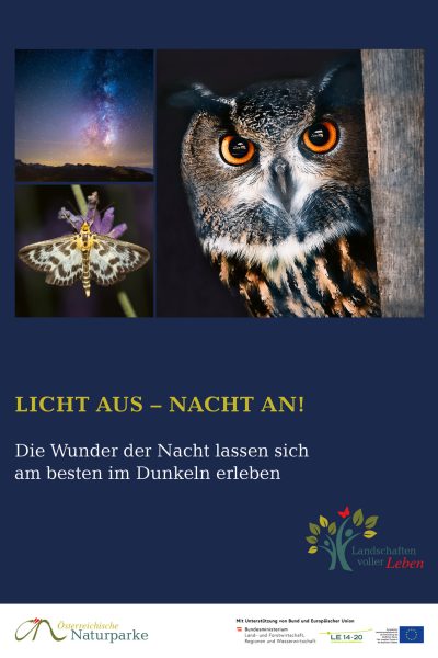 Titel_Info-Folder